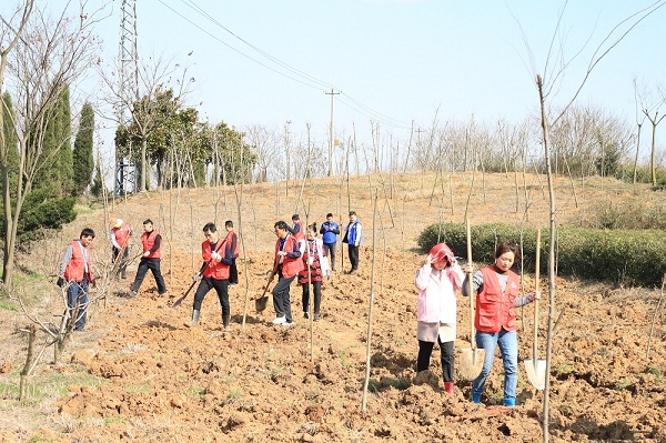 1590632712449025.jpg 2-1Z3261F315913.JPG