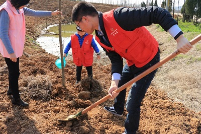 1590632740148091.jpg 2-1Z3261F3421c.JPG