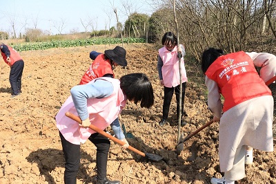 1590632763778818.jpg 2-1Z3261F451235.JPG