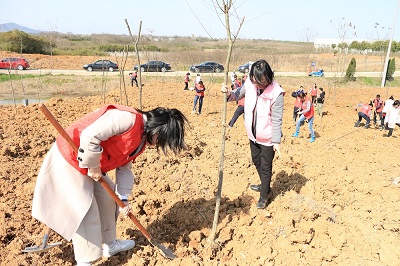 1590632780814663.jpg 2-1Z3261F41CE.JPG