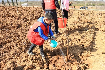 1590632793564525.jpg 2-1Z3261F514930.JPG